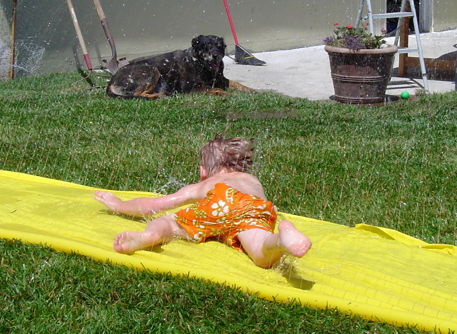 waterslide.jpg